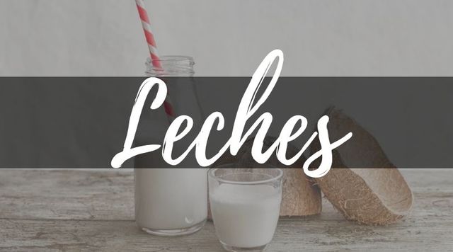 Recetas de Leches Vegetales