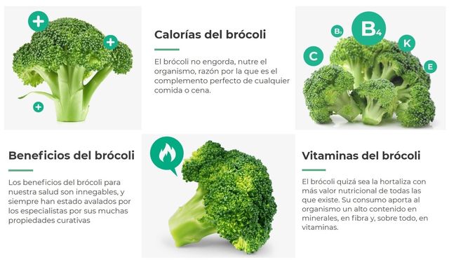 Valor nutricional del brócoli: vitaminas, proteínas, minerales y calorías
